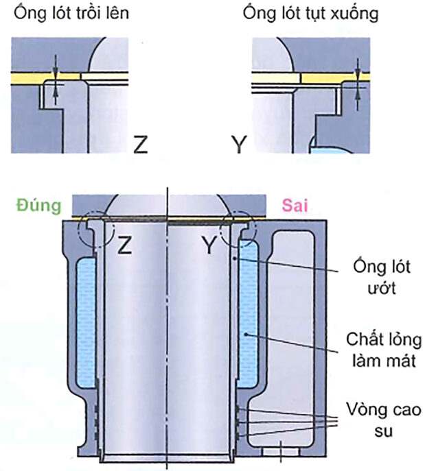 Vị trí lắp đặt lòng xy-lanh