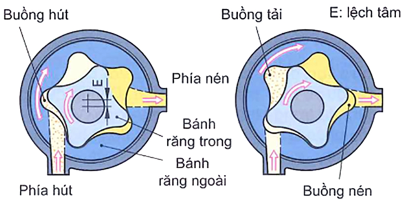 Bơm rotor