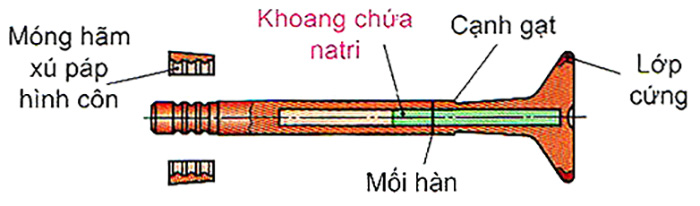 Cấu tạo xu-páp xả