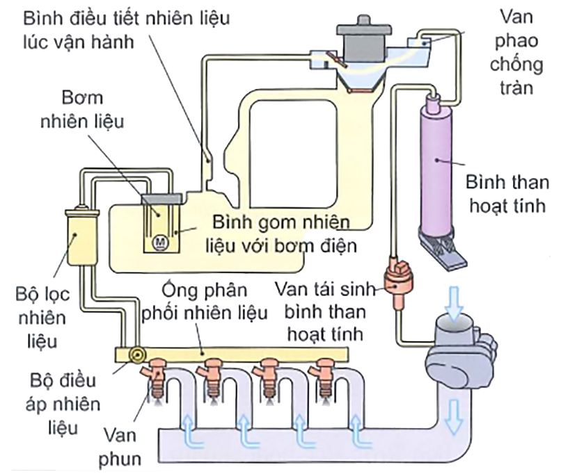 Cấu tạo hệ thống cung cấp nhiên liệu động cơ xăng