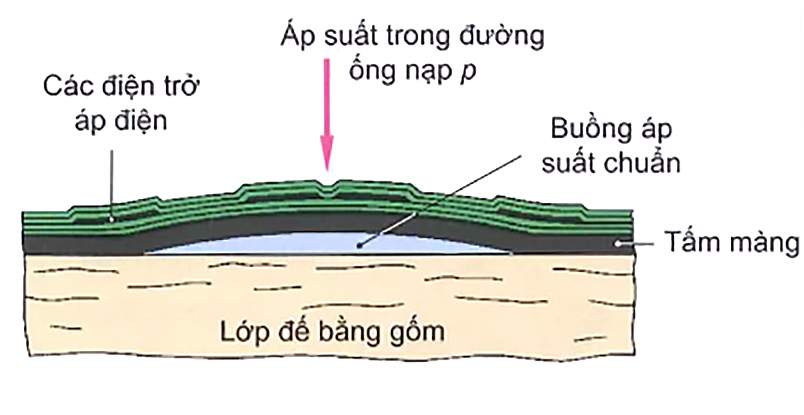Tế bào cảm biến của cảm biến áp suất trong đường ống nạp