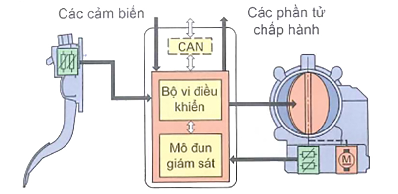Hệ thống chân ga điện tử E-gas