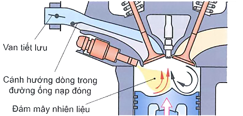 Chu trình phun phân lớp dẫn hướng bằng vách