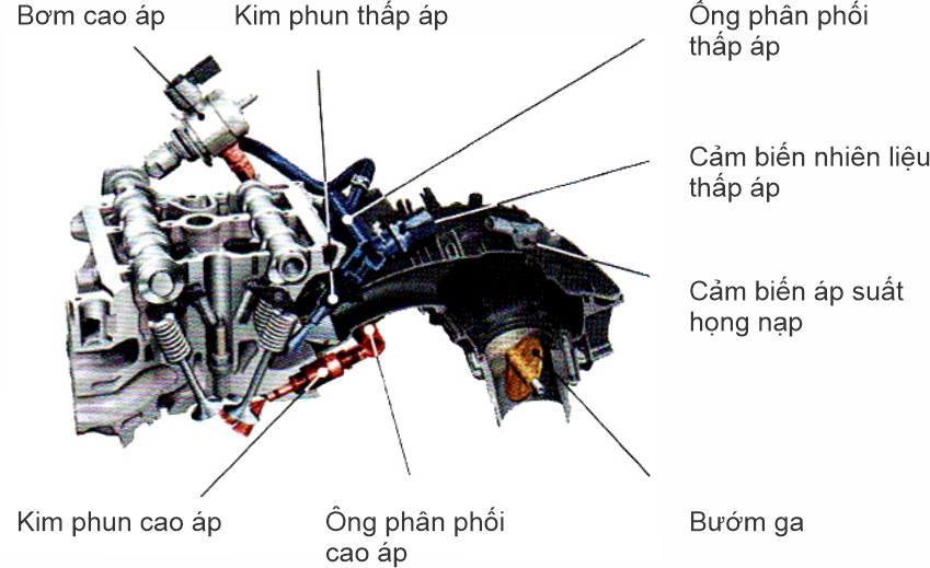 Nắp đầu xy-lanh hệ thống phun xăng kép