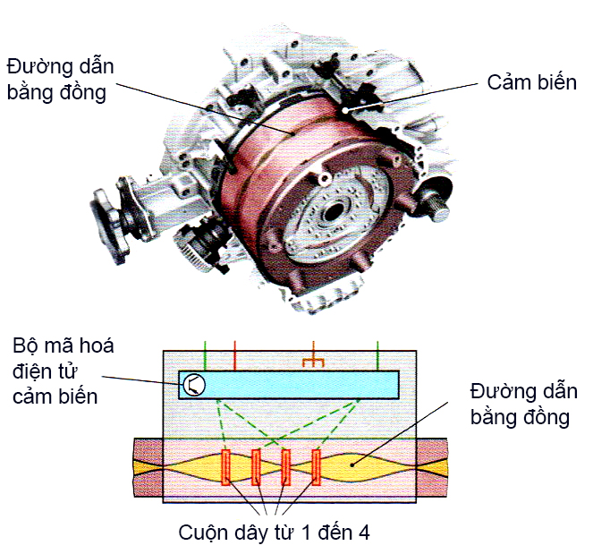 Cấu tạo Resolver Sensor với đường dẫn bằng đồng